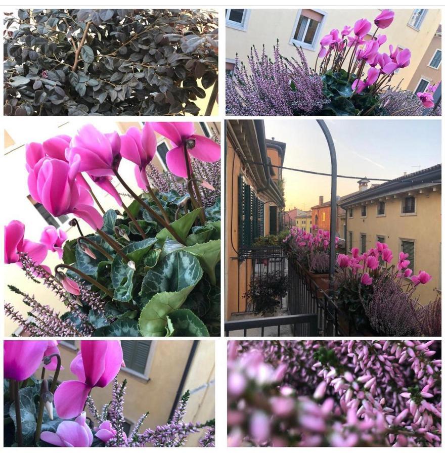 Veronantica B&B Luaran gambar
